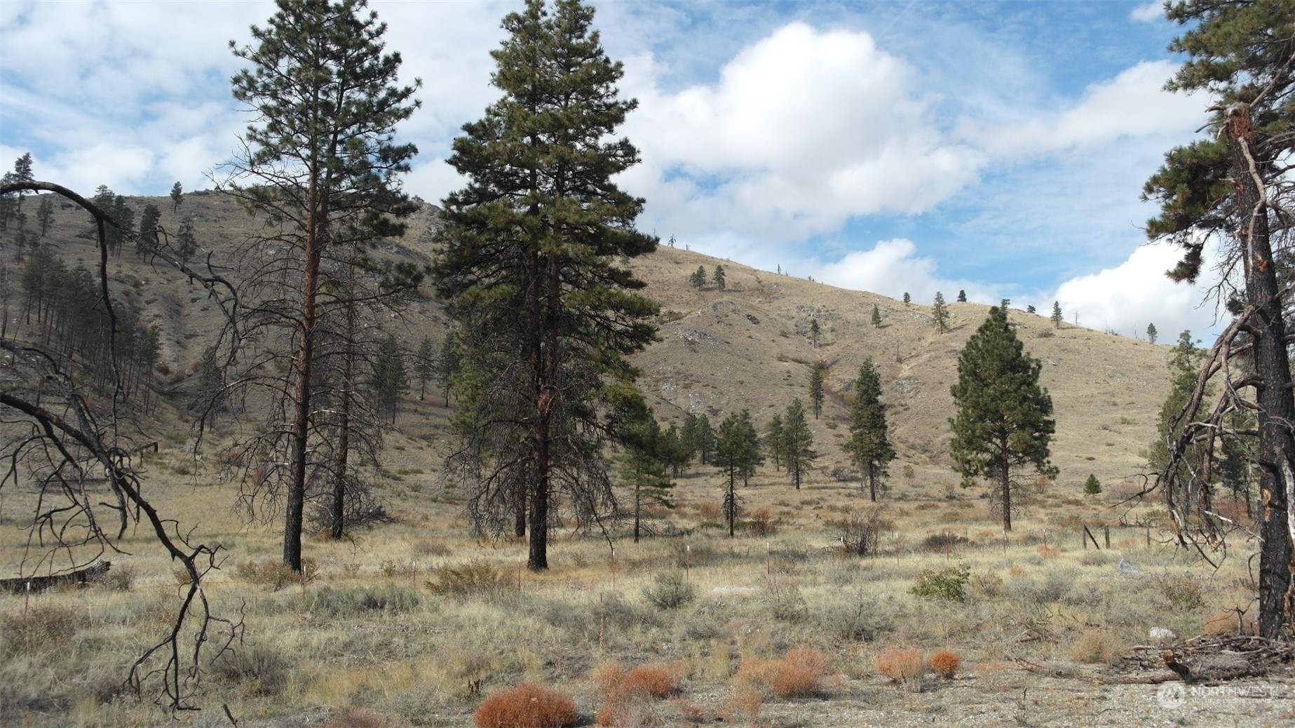 72 M Jason Lucas Road