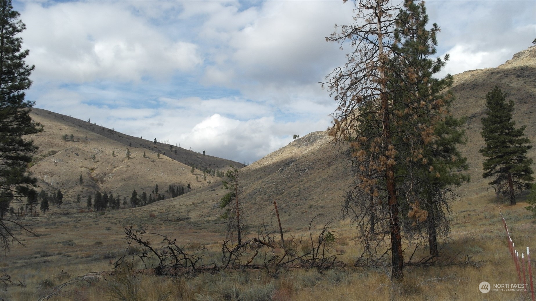 72 M Jason Lucas Road