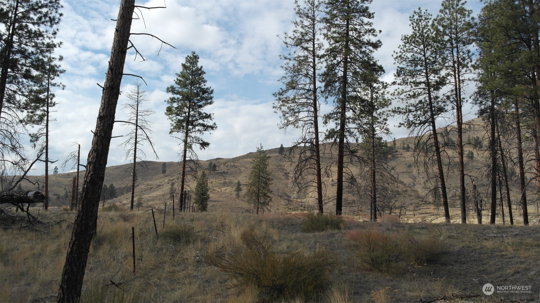 72 M Jason Lucas Road