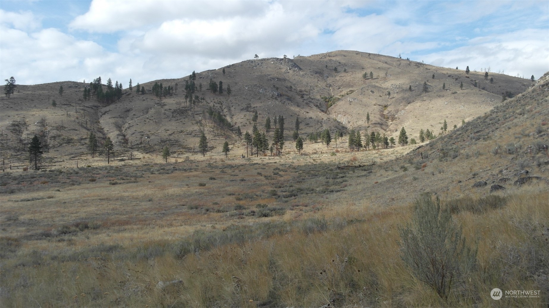 72 M Jason Lucas Road