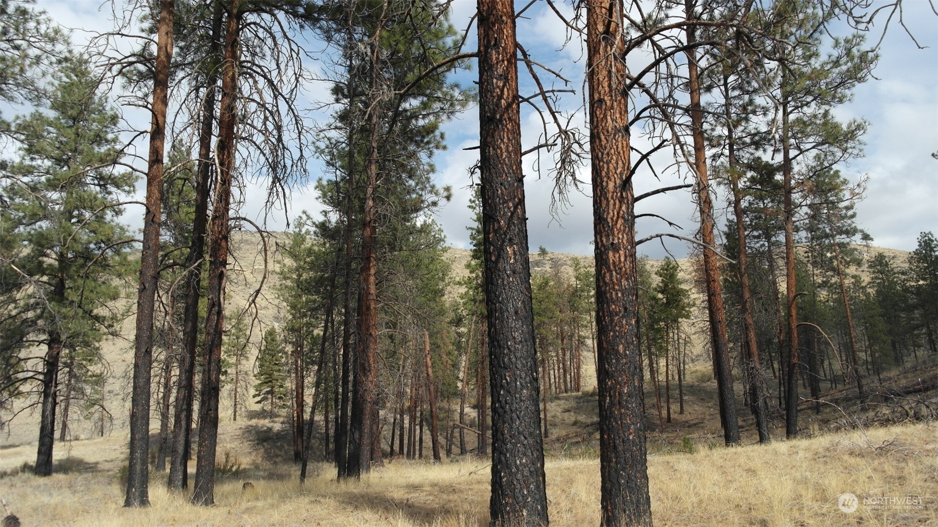 72 M Jason Lucas Road