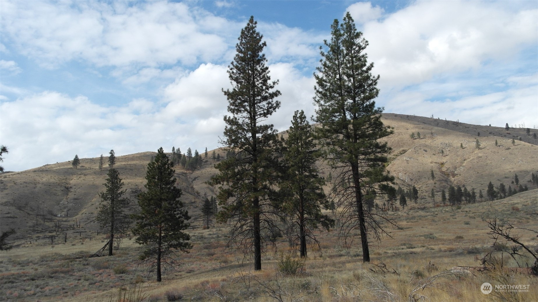 72 M Jason Lucas Road