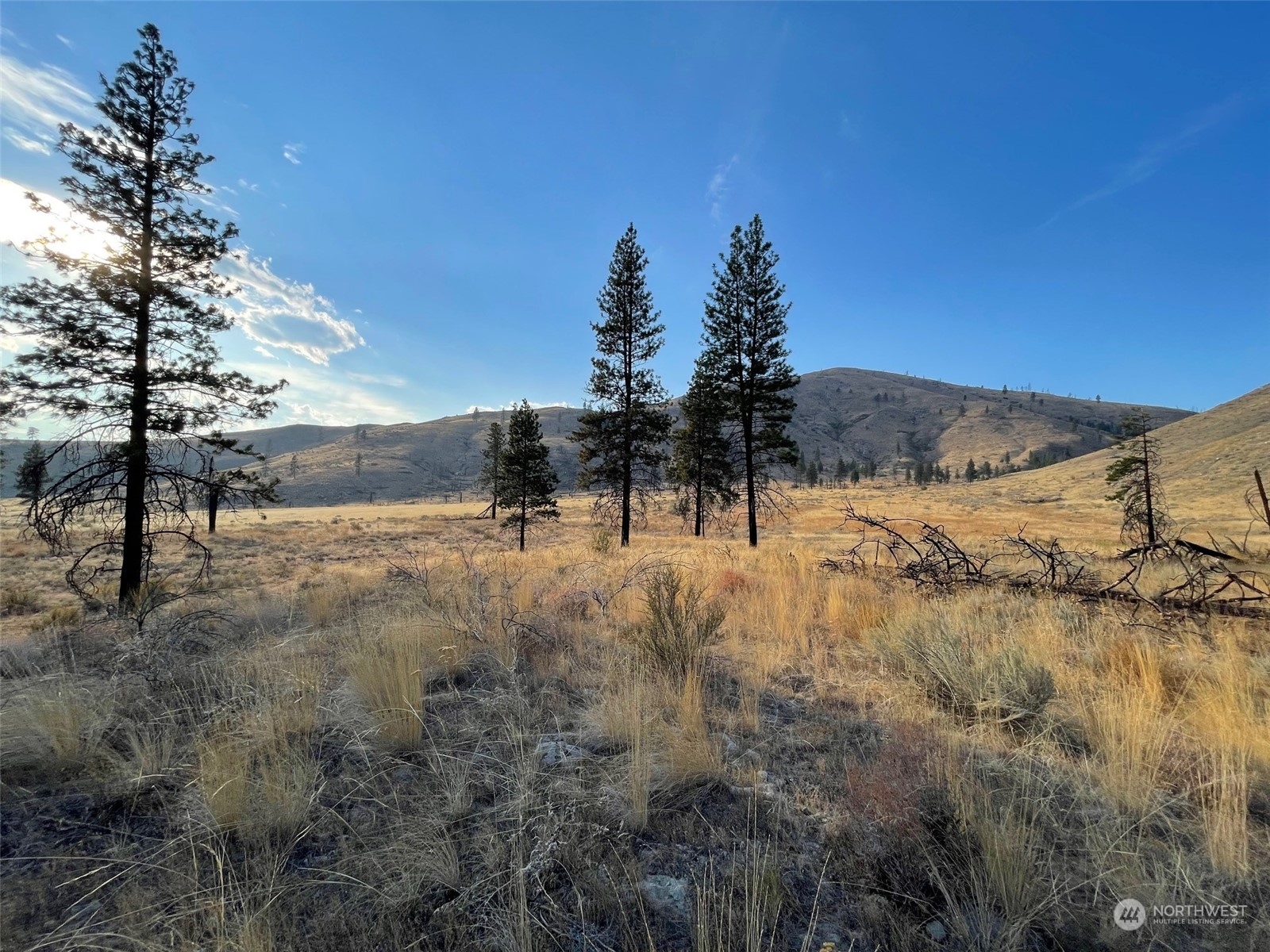 72 M Jason Lucas Road