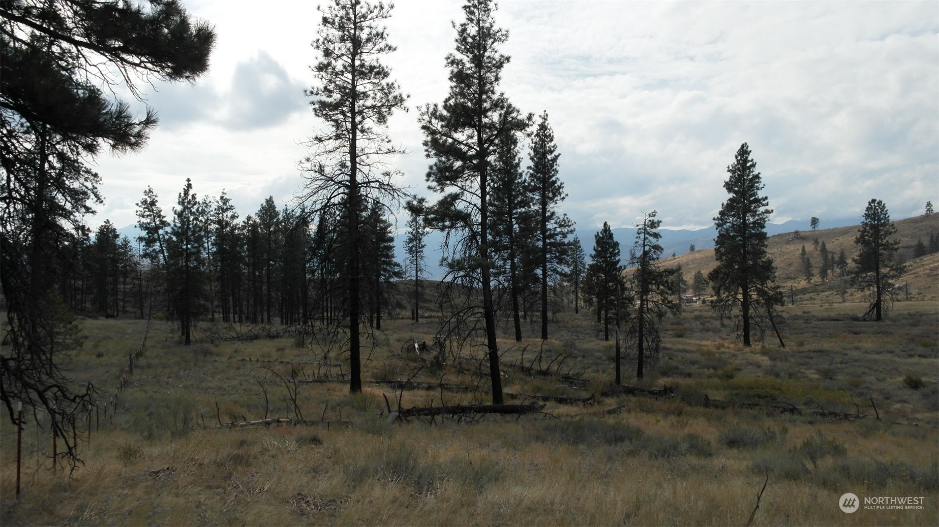 72 M Jason Lucas Road