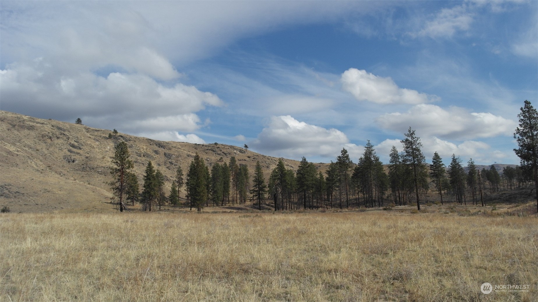 72 M Jason Lucas Road