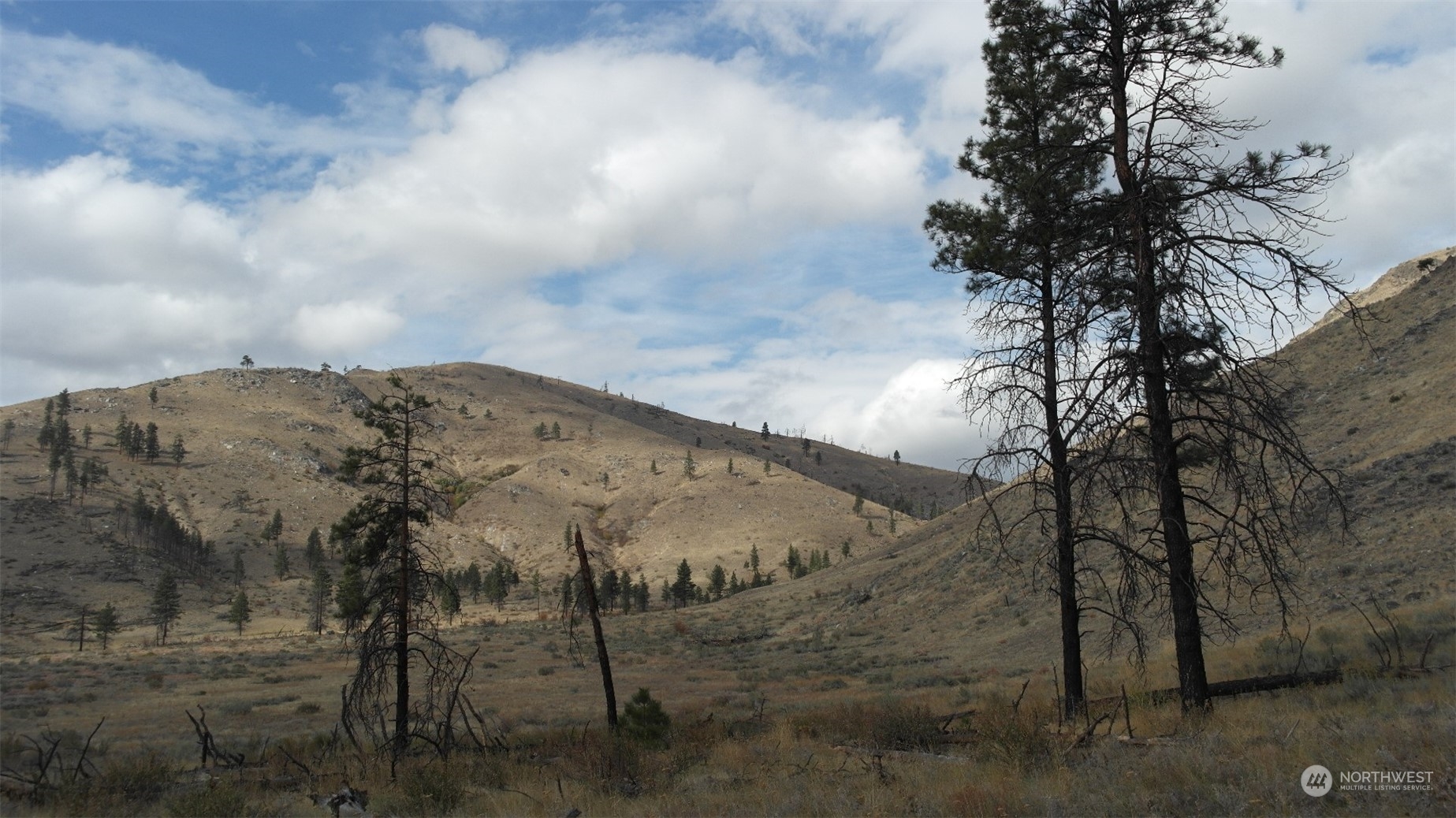 72 M Jason Lucas Road