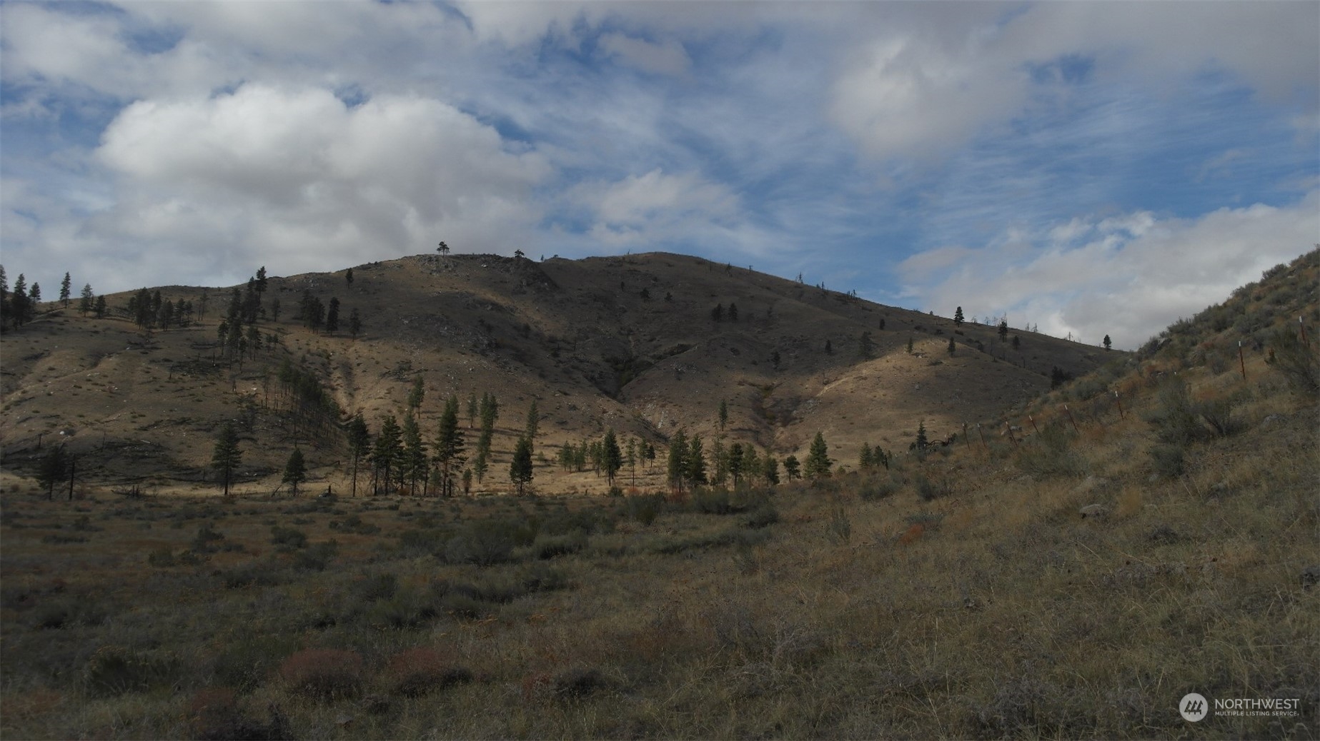 72 M Jason Lucas Road