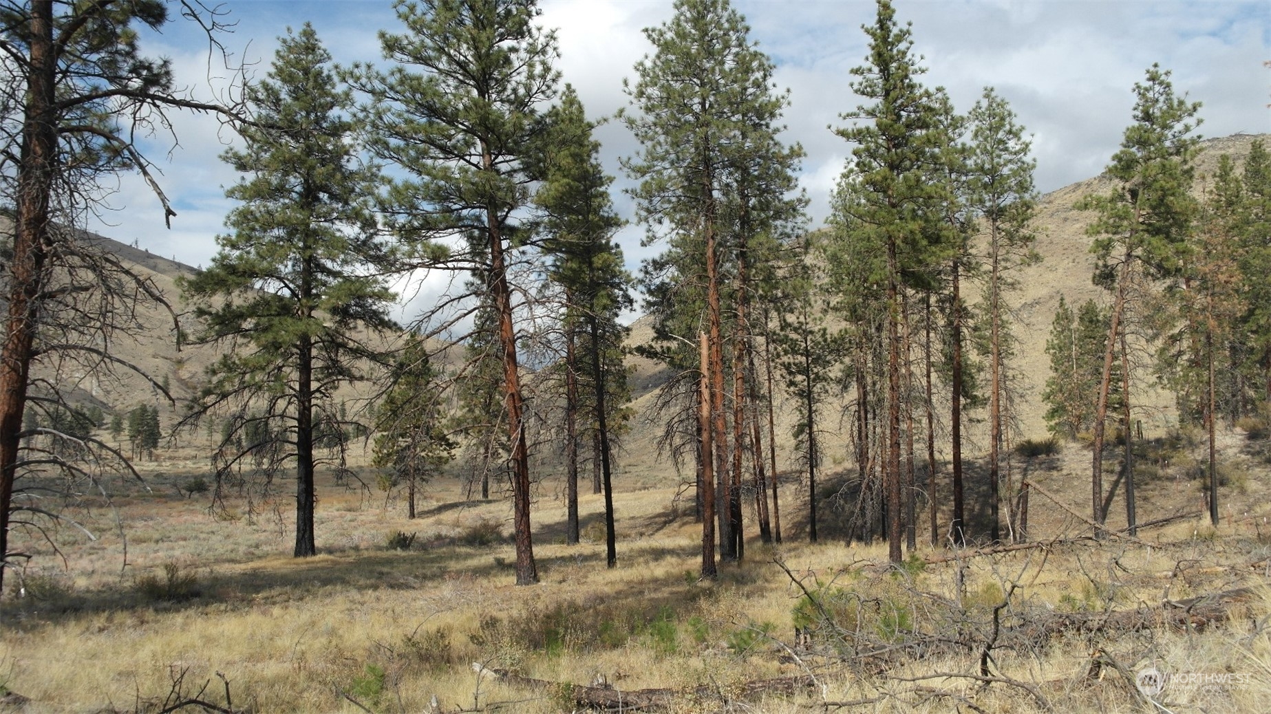 72 M Jason Lucas Road