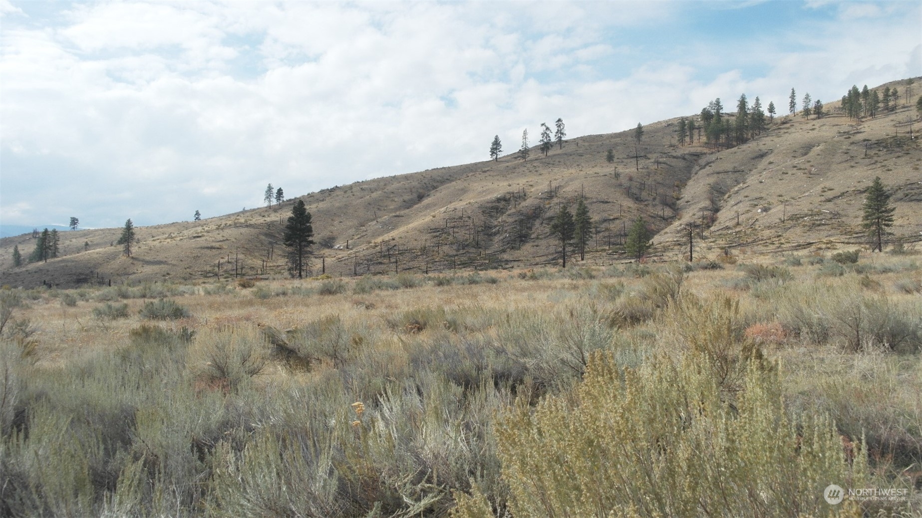 72 M Jason Lucas Road