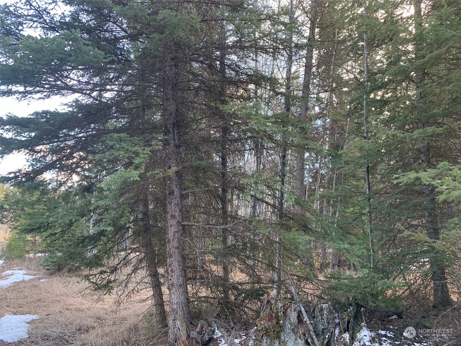 17 TBD Lake View Drive