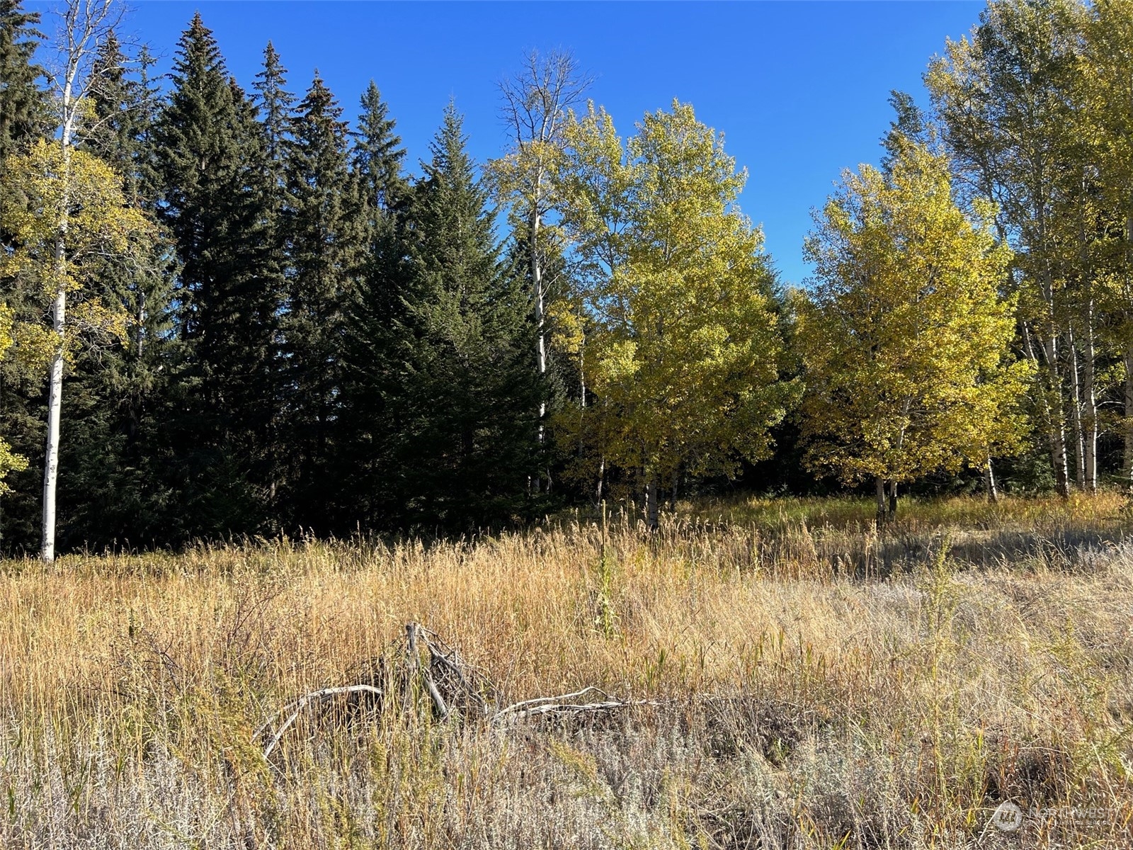 17 TBD Lake View Drive