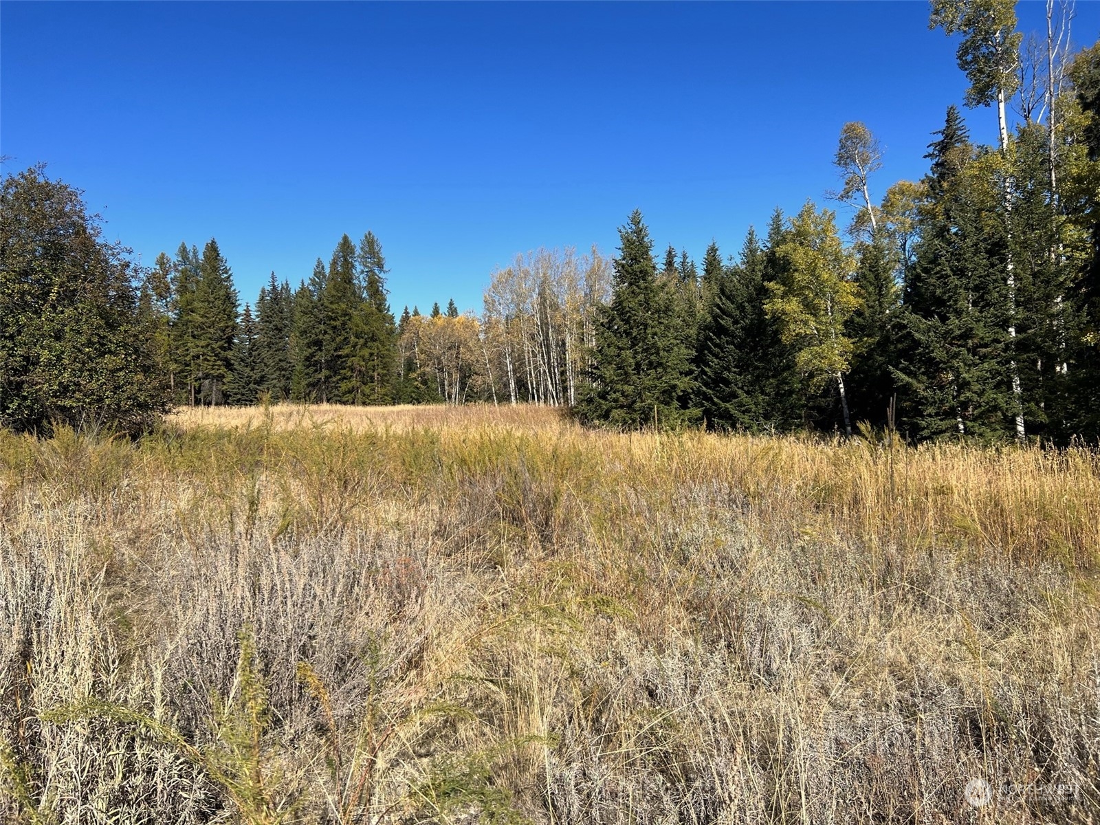 17 TBD Lake View Drive