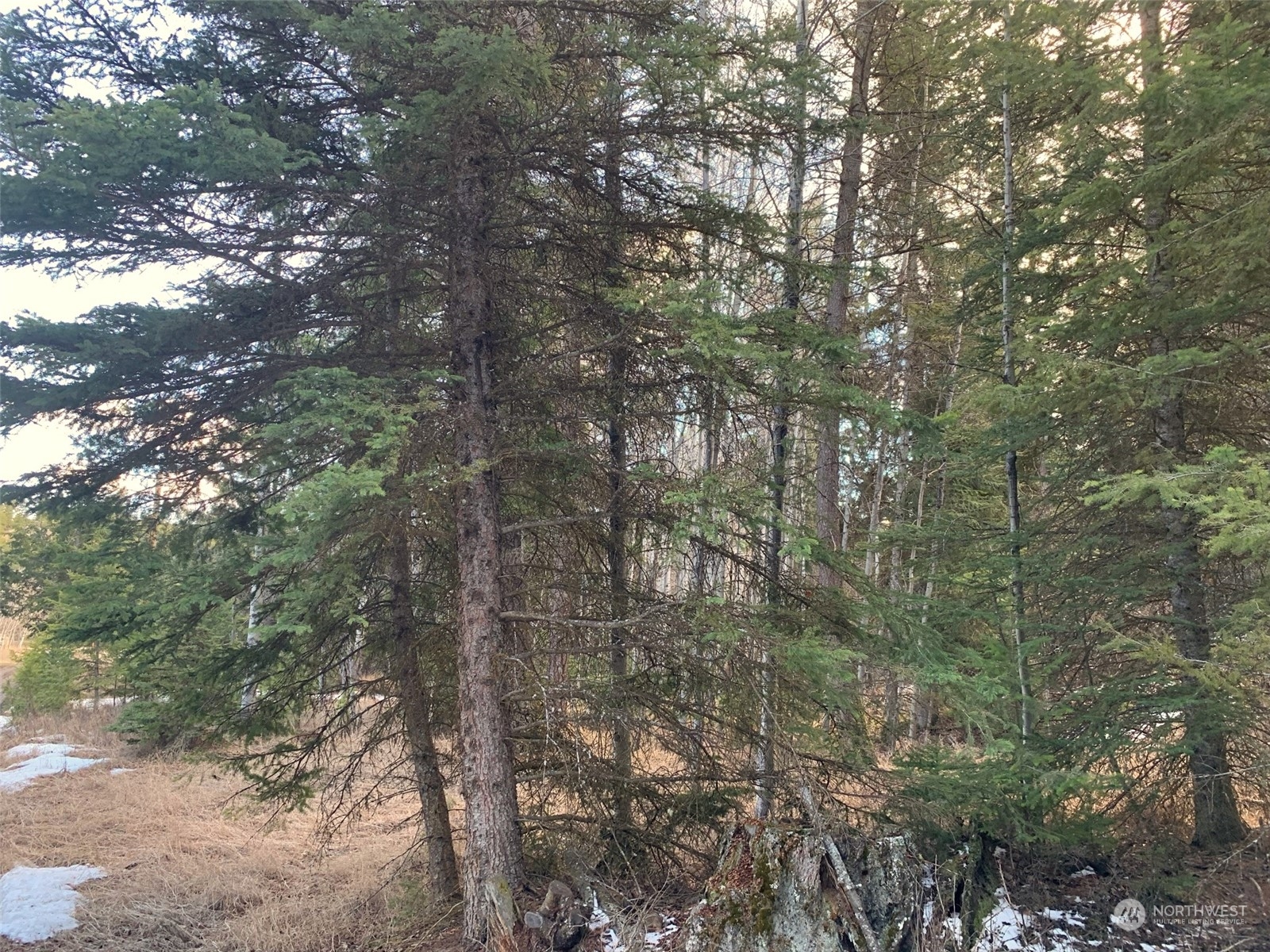 17 TBD Lake View Drive