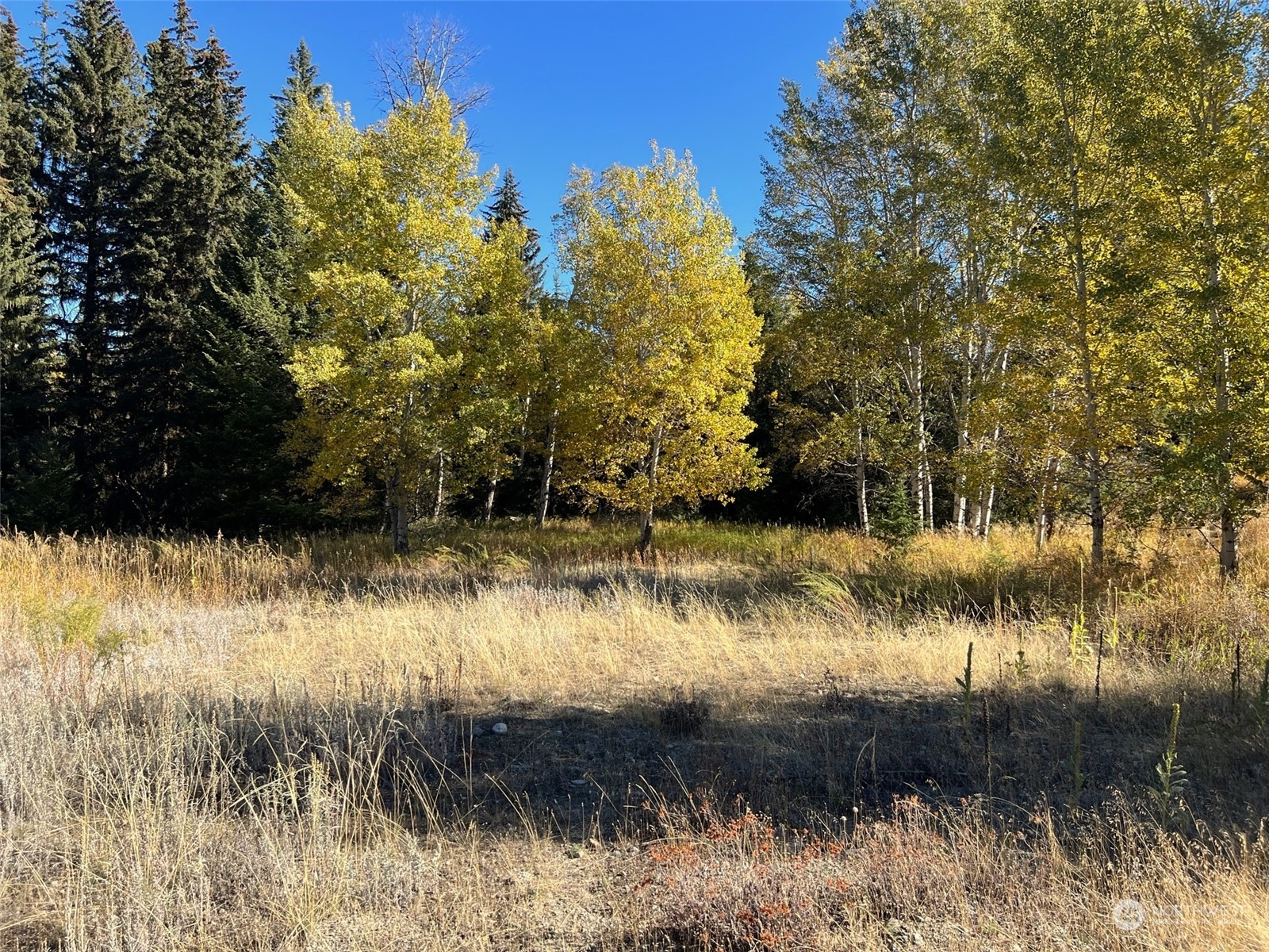 17 TBD Lake View Drive