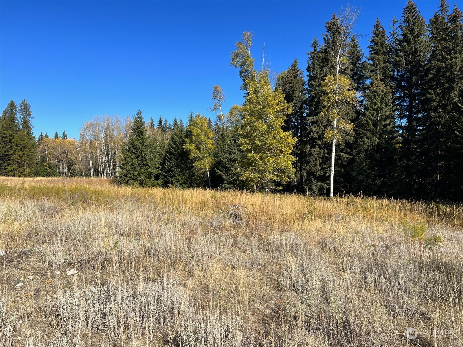 17 TBD Lake View Drive