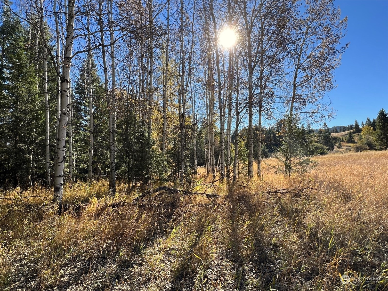 17 TBD Lake View Drive