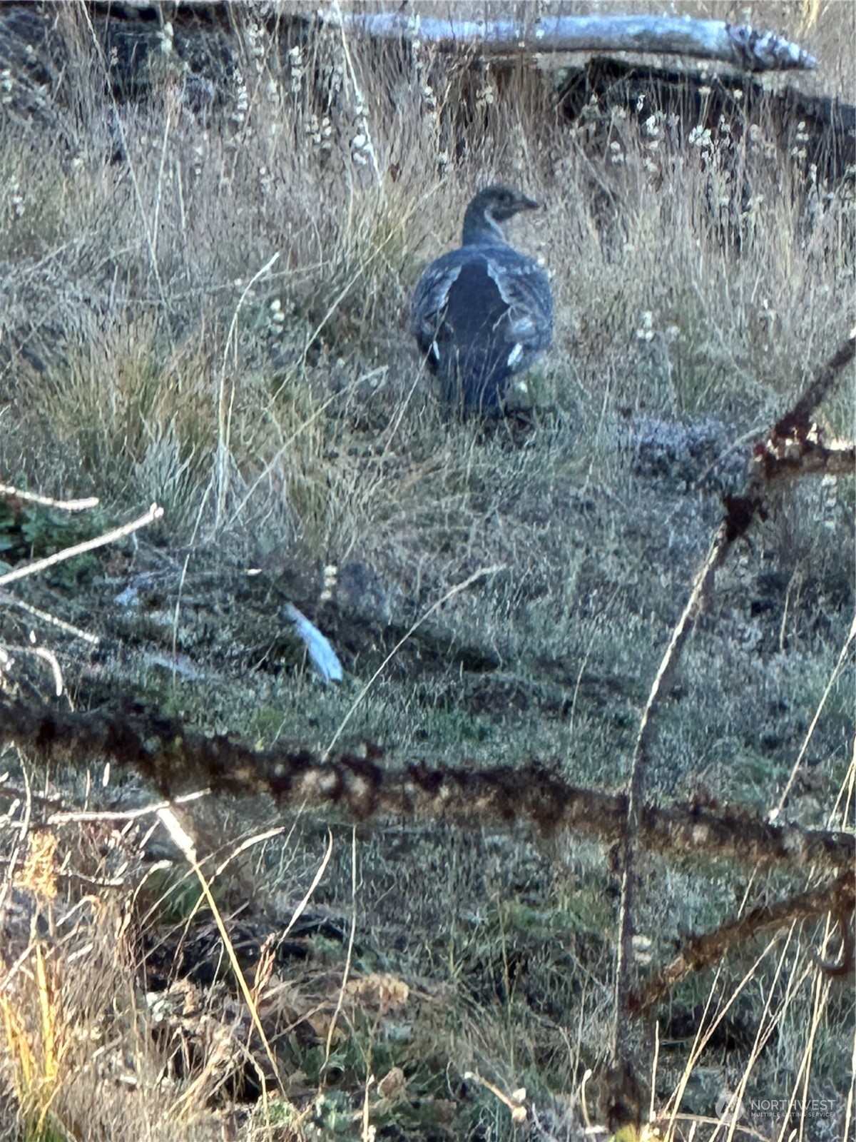 180 Wapato Road