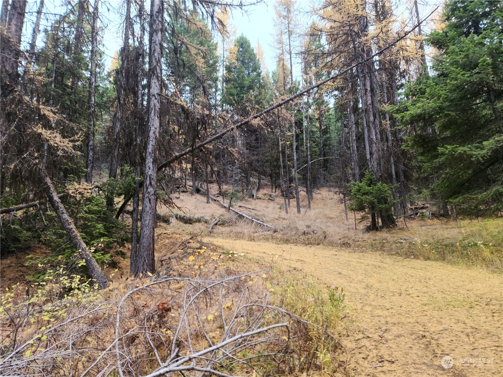180 Wapato Road