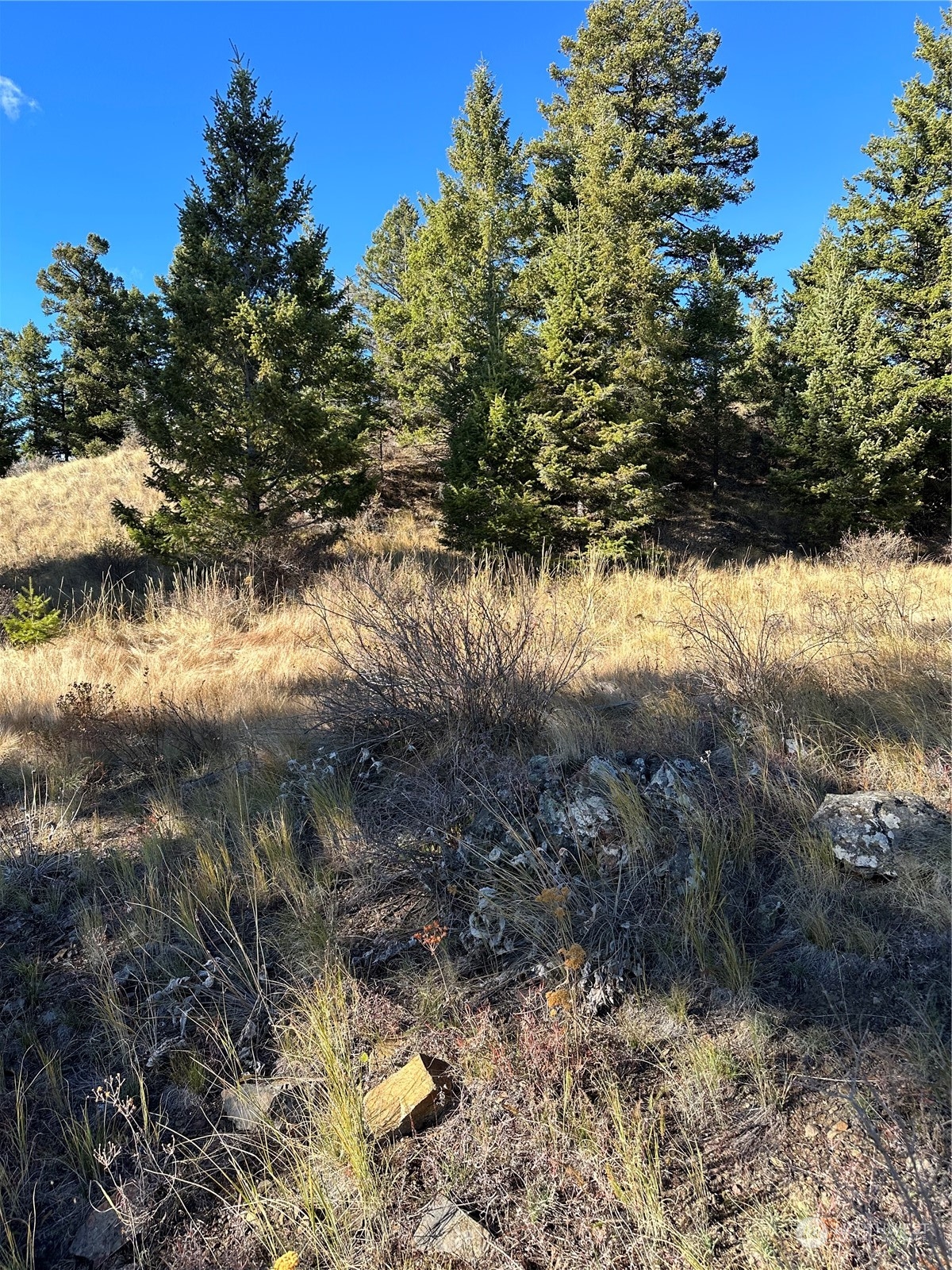 180 Wapato Road