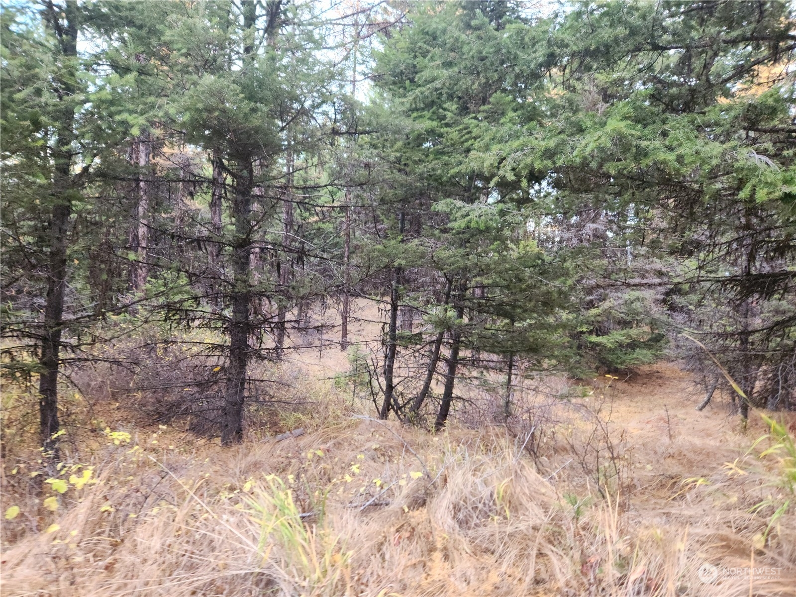 180 Wapato Road