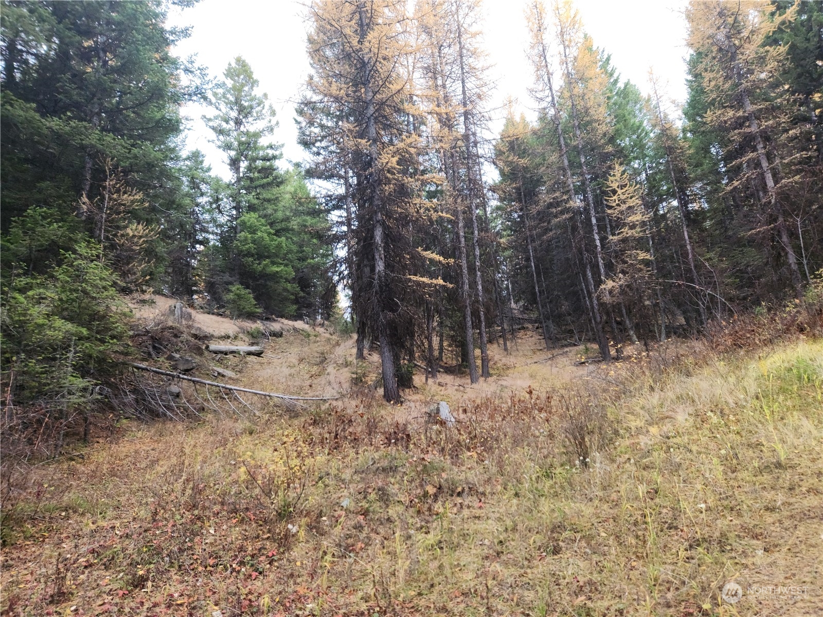 180 Wapato Road