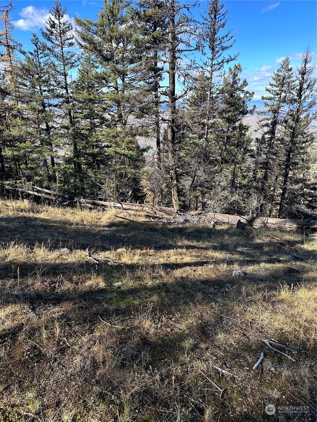 180 Wapato Road