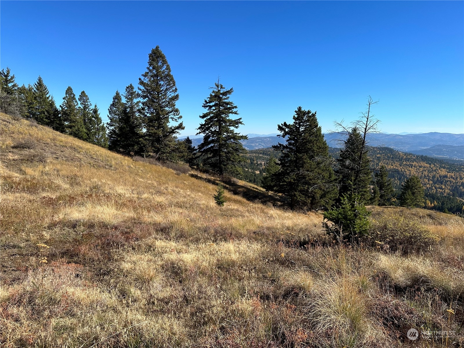 180 Wapato Road