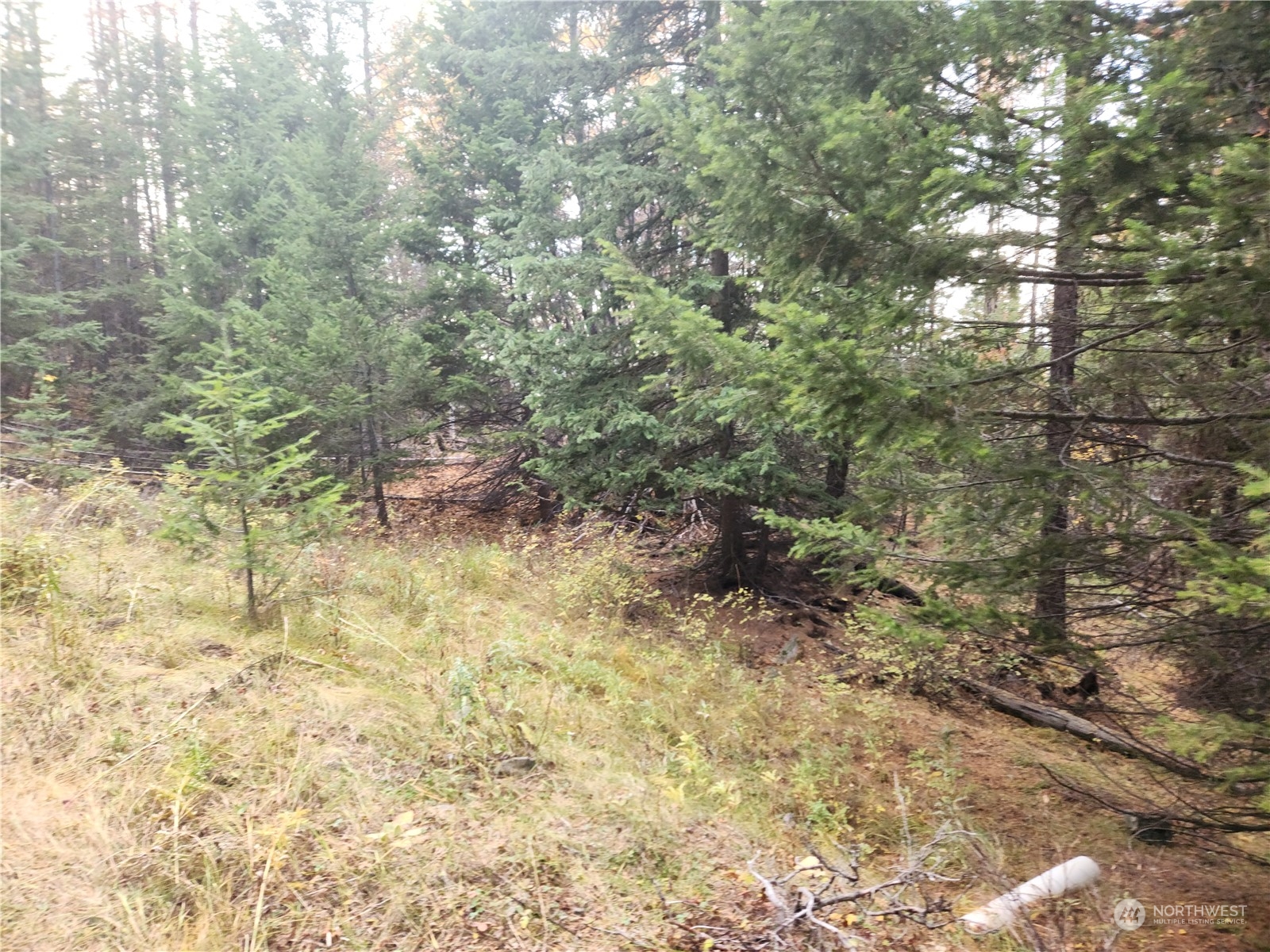 190 Wapato Road