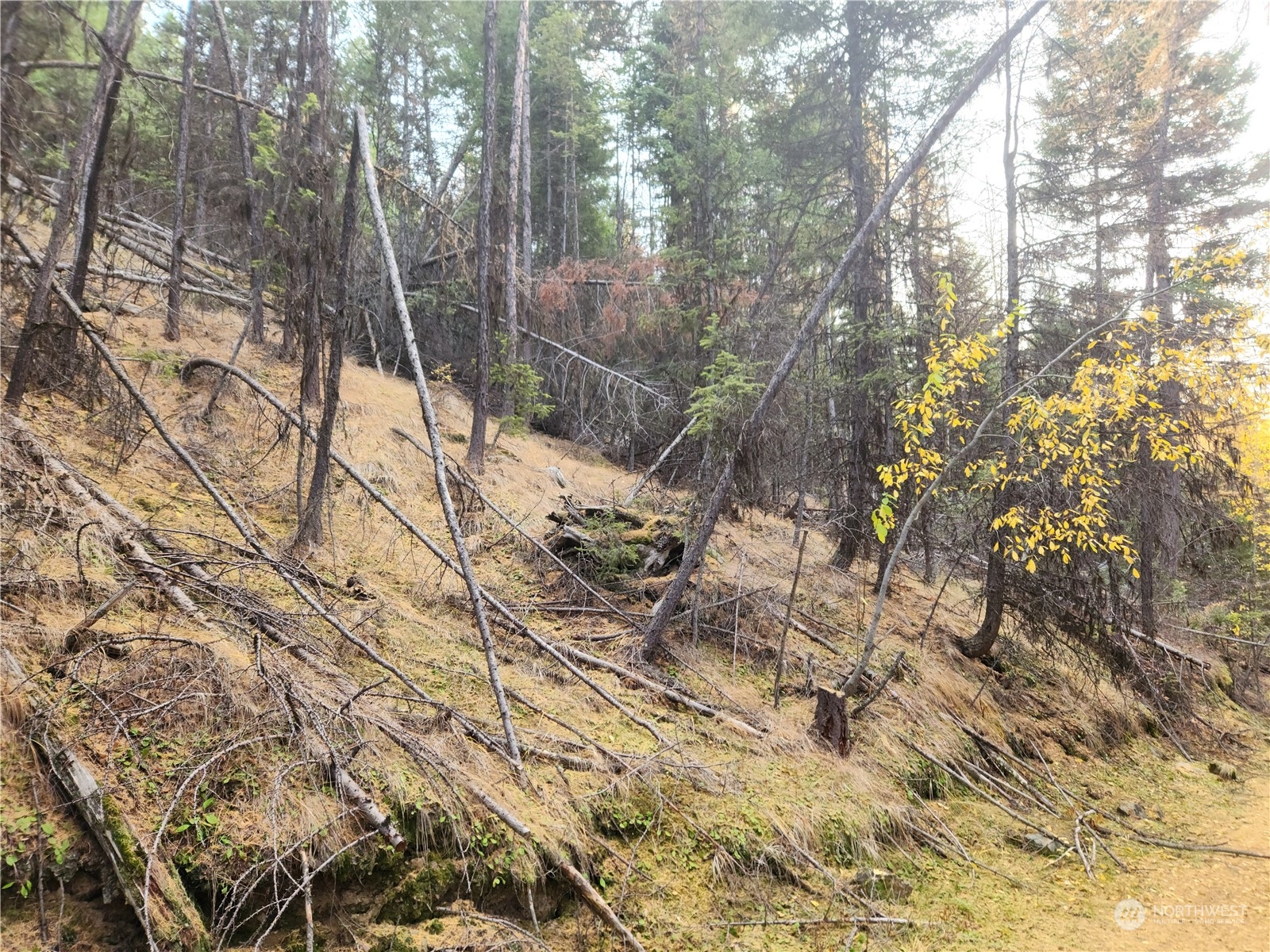 190 Wapato Road