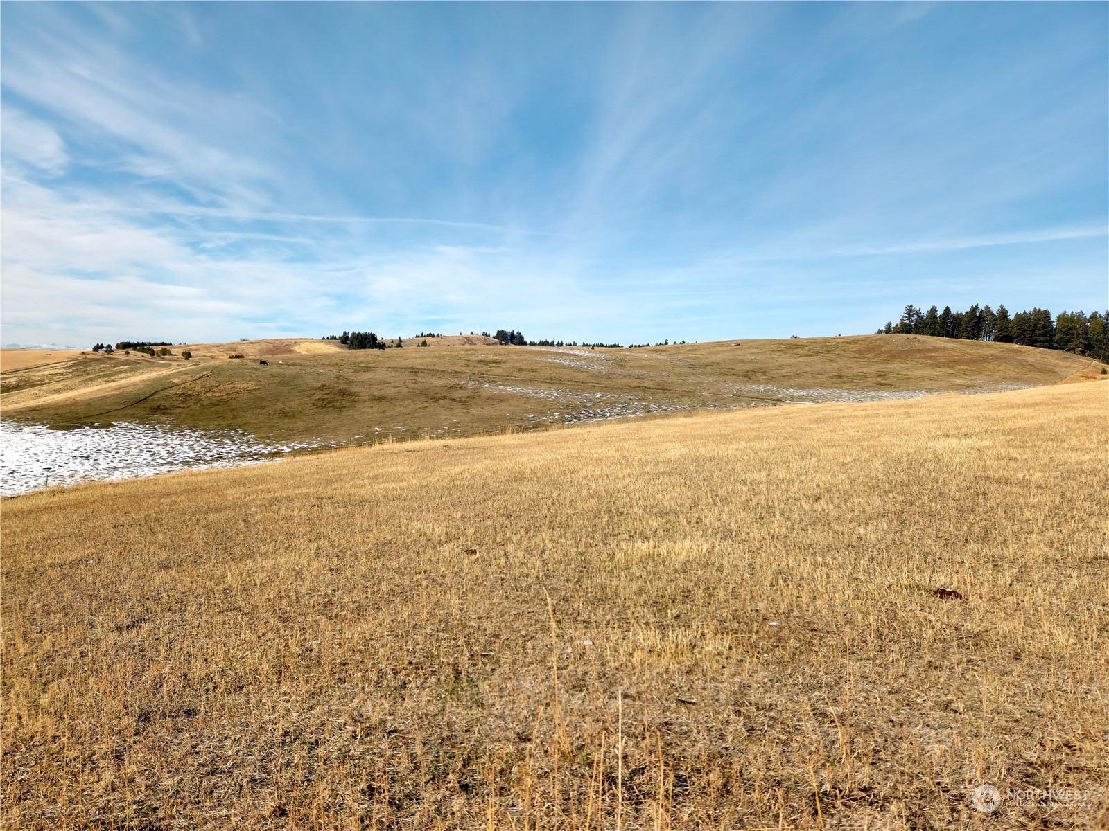 120 TBD S Teal Lake Road
