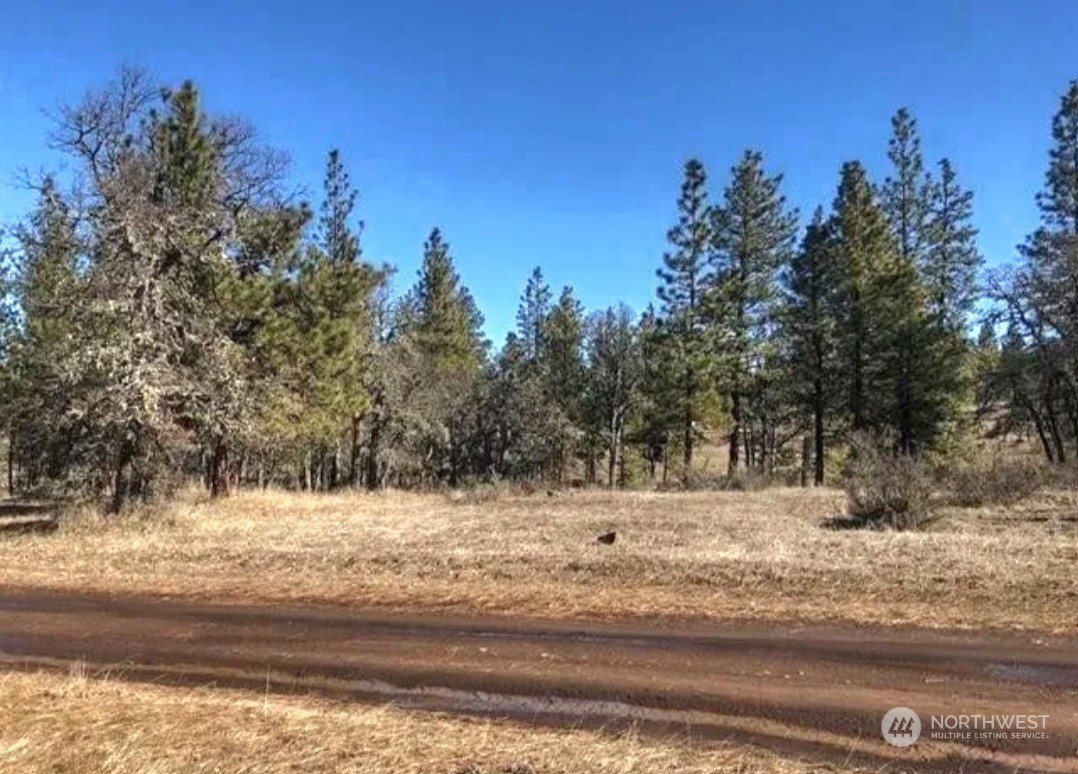 598 Chambers Road