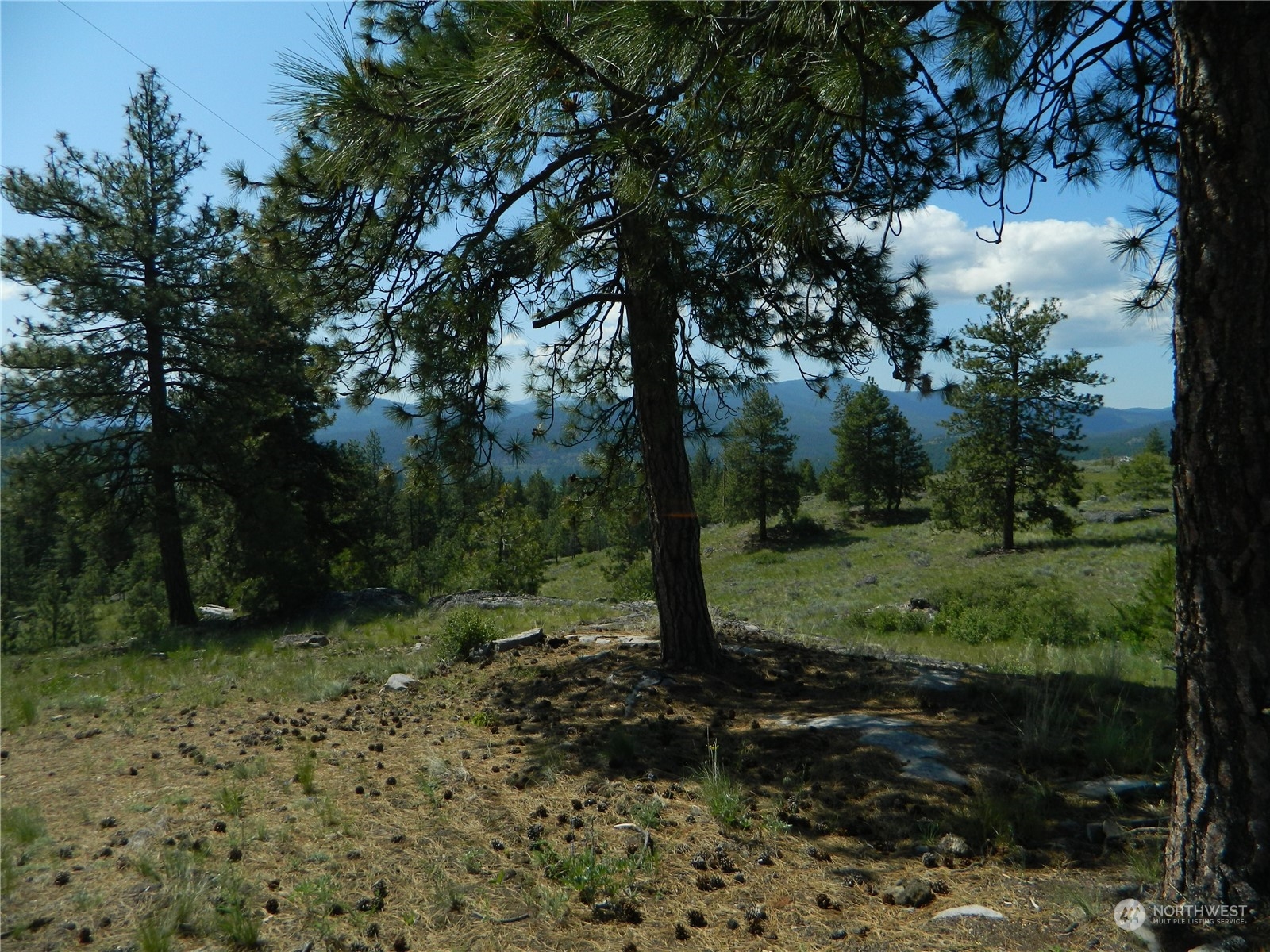 153 Neil Canyon Road