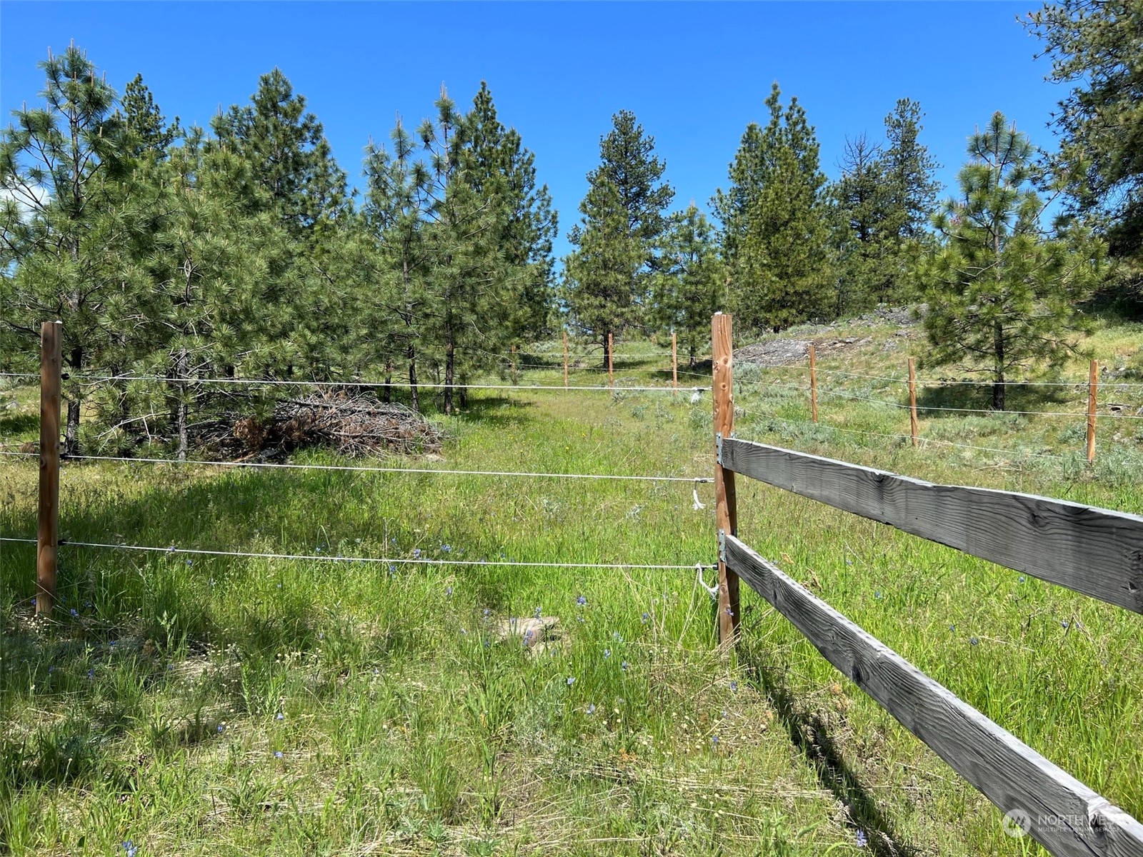 151 B Cape Labelle Road