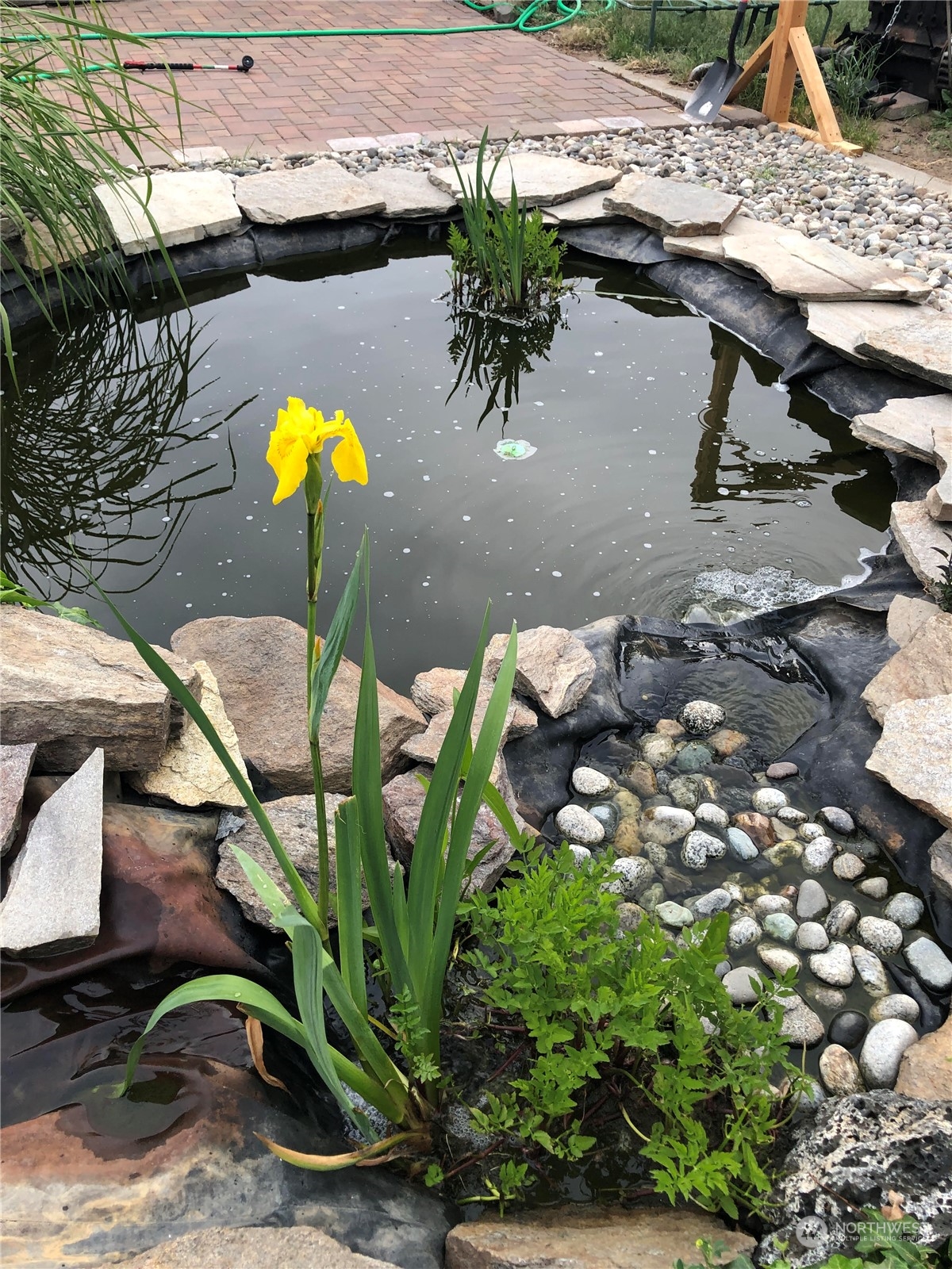 520 S Western Avenue