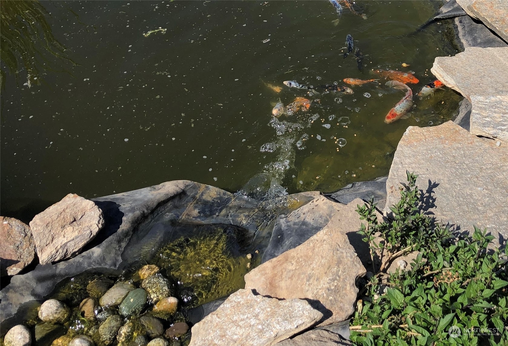 520 S Western Avenue