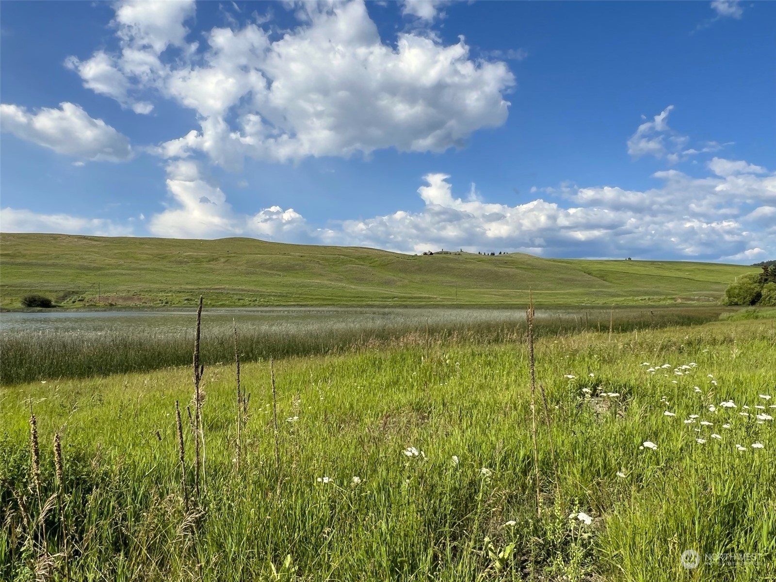 1111 TBD Amanda Road