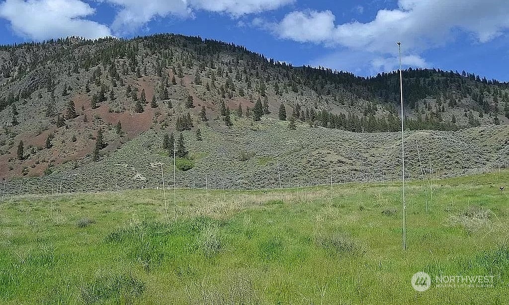 26 Mule Deer Loop