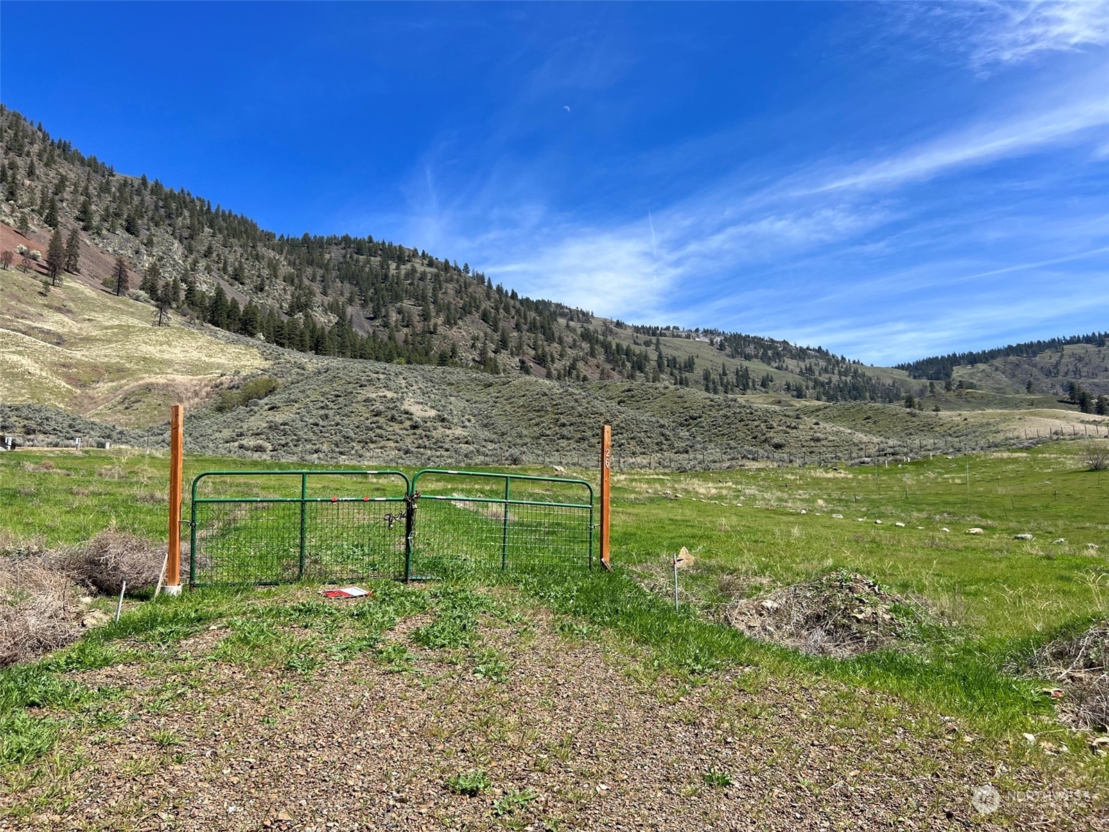 26 Mule Deer Loop