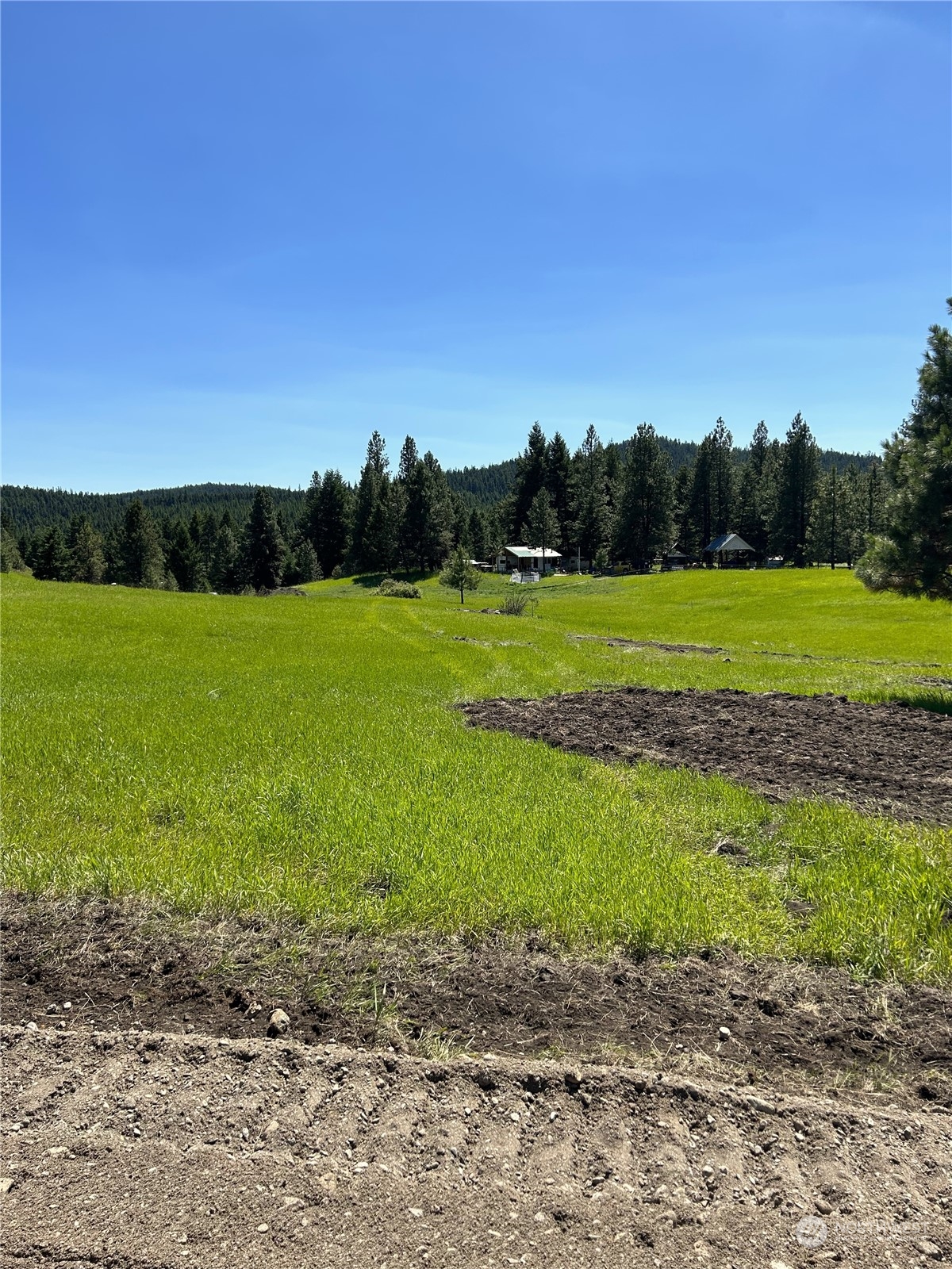 12 Spring Meadow Lane