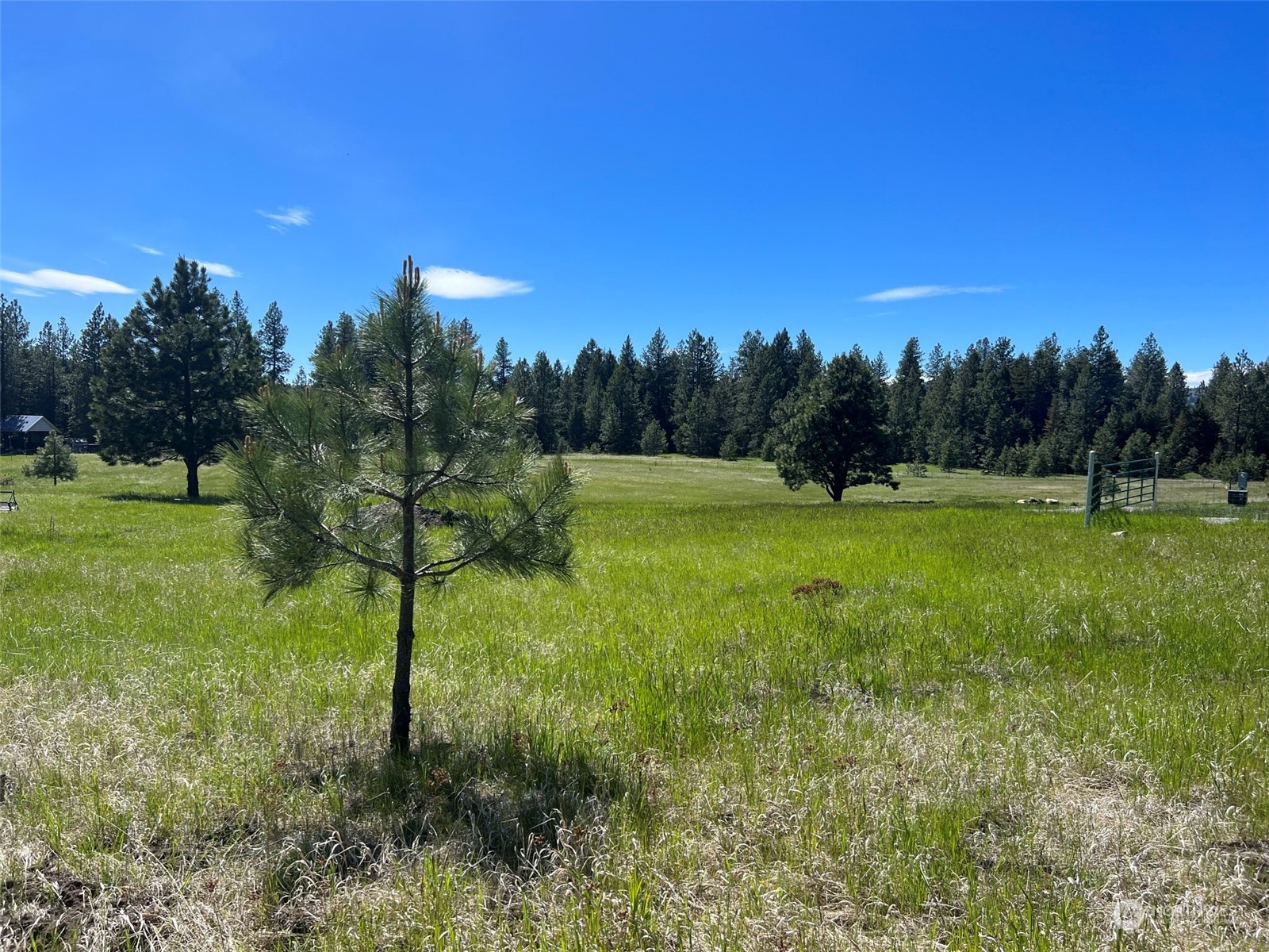 12 Spring Meadow Lane