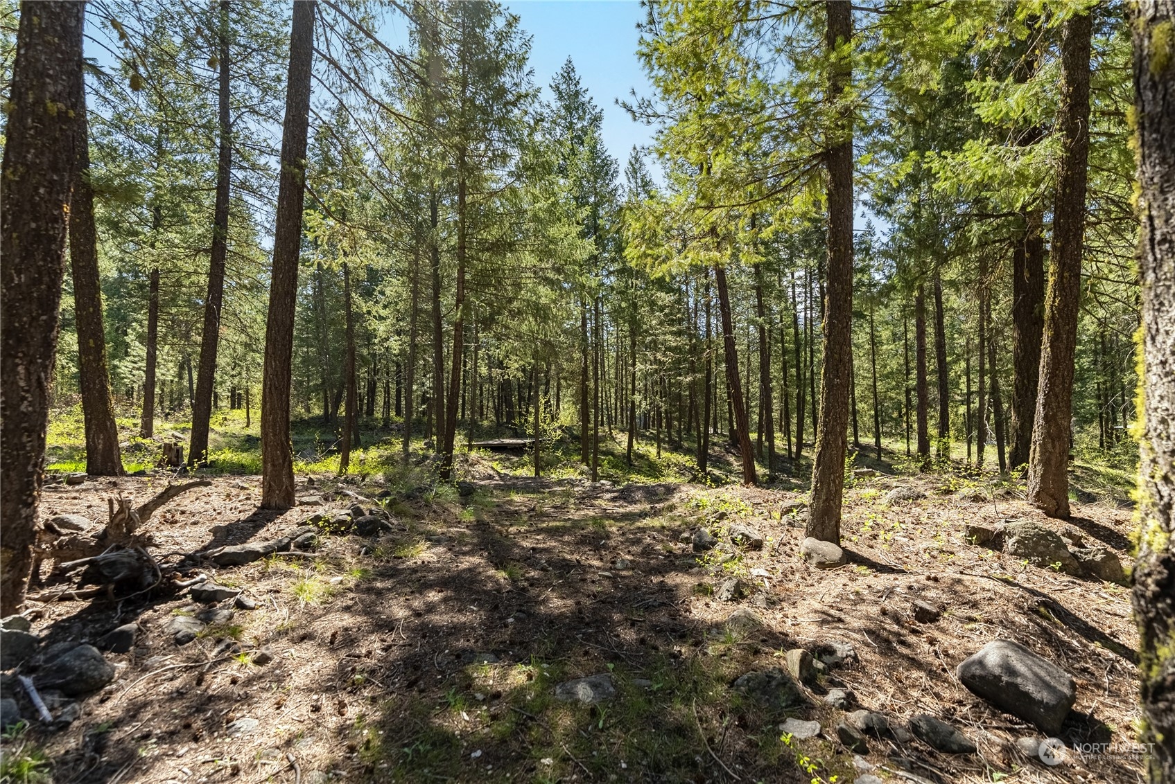 10 West Fawn Creek Road
