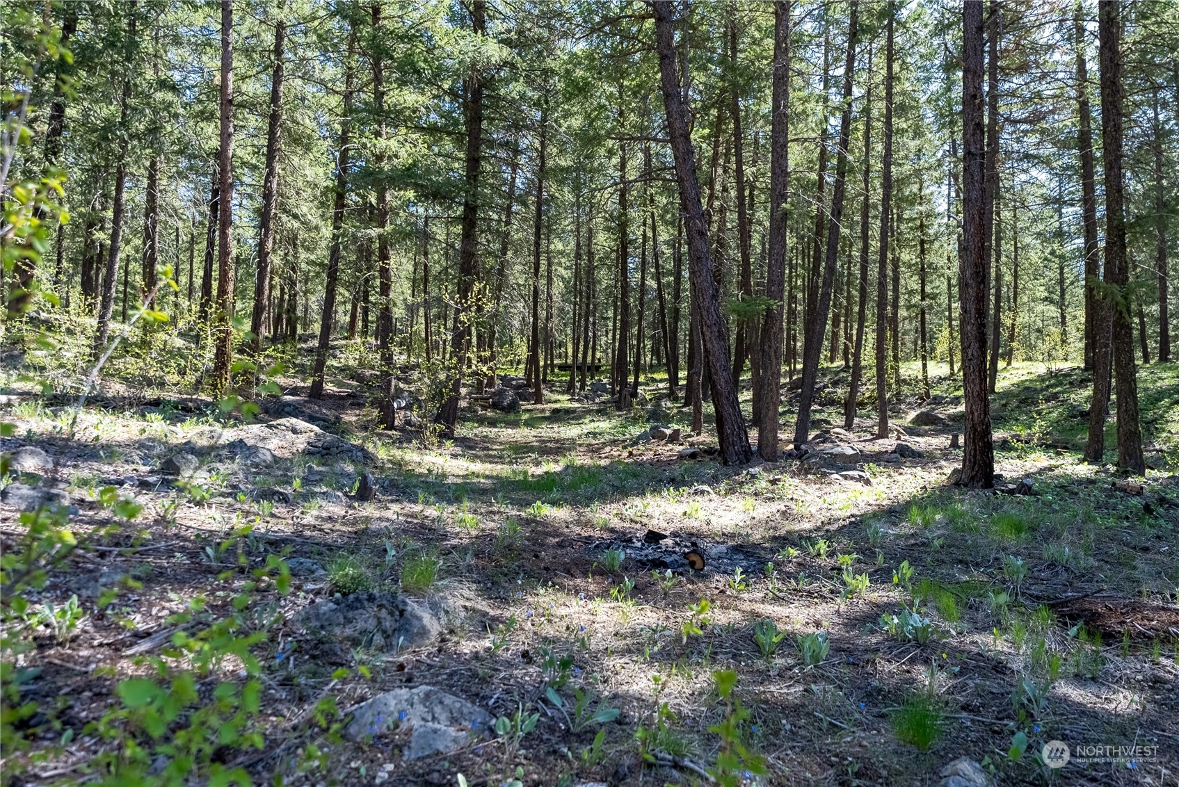 10 West Fawn Creek Road
