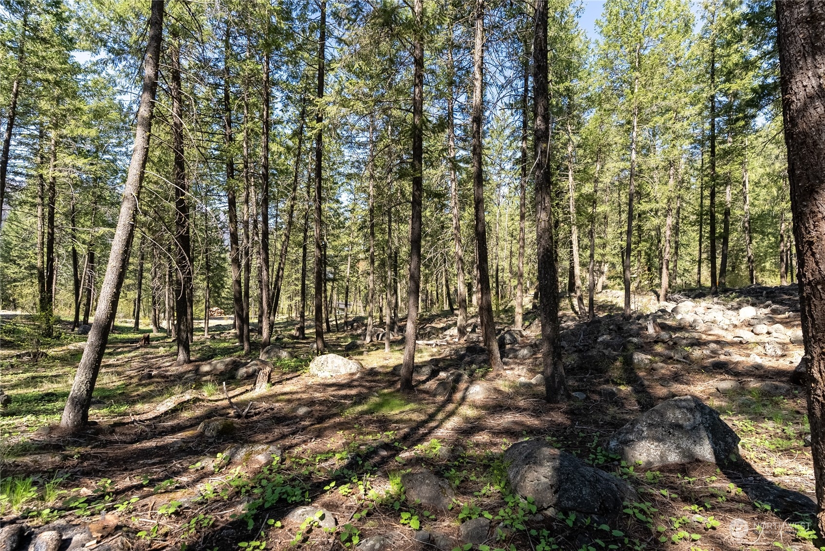 10 West Fawn Creek Road