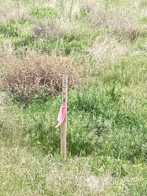 1074 Palisades Rd Lot#8