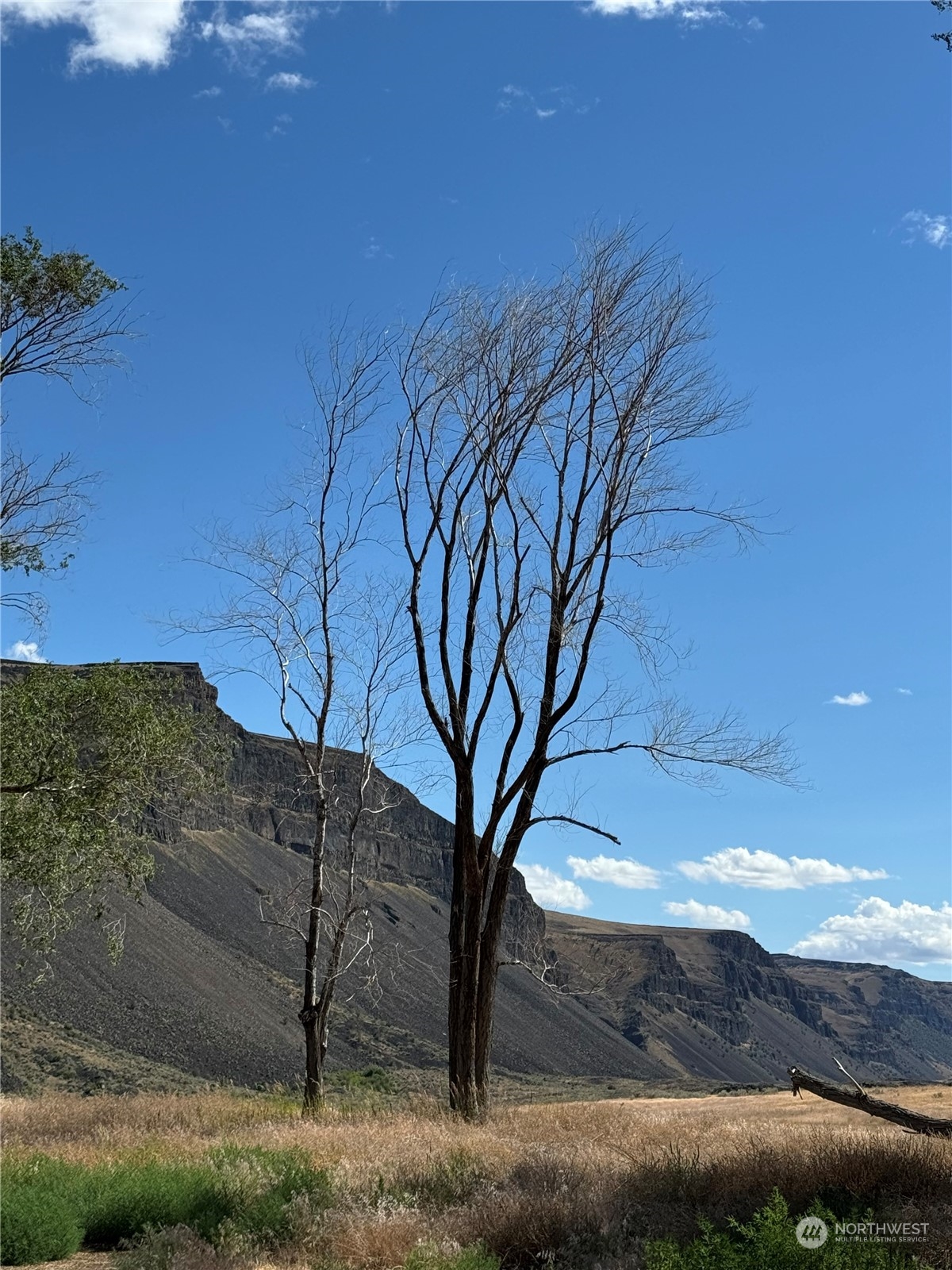 1074 Palisades Rd Lot #6