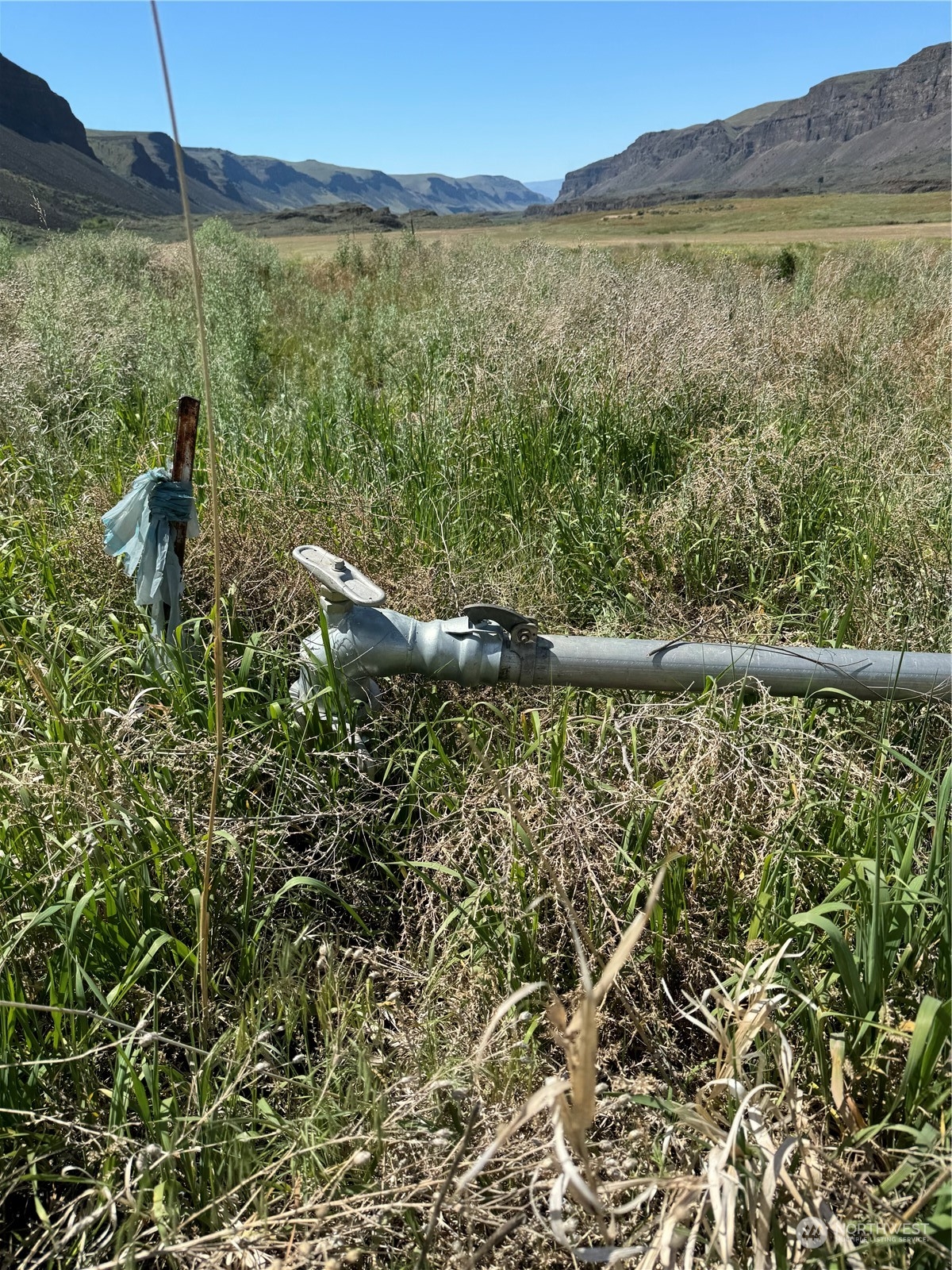 1074 Palisades Rd Lot #6