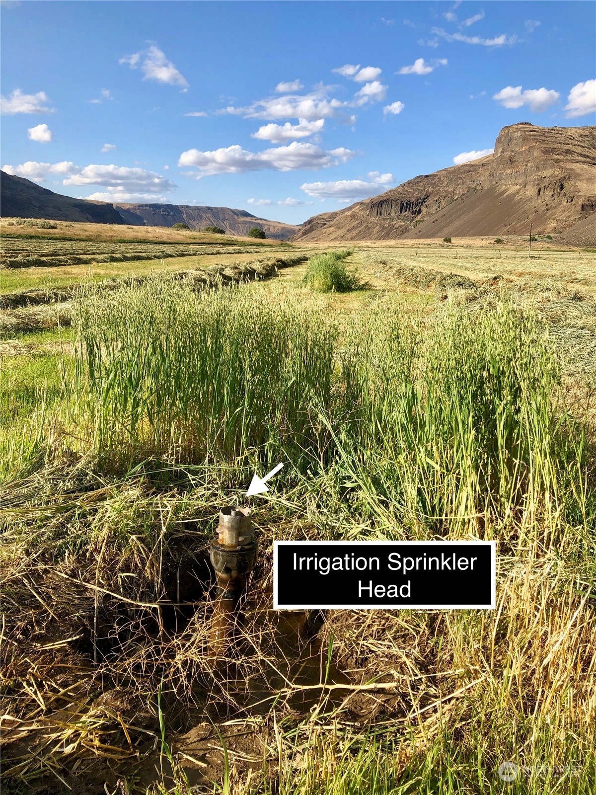 1074 Palisades Rd Lot #6