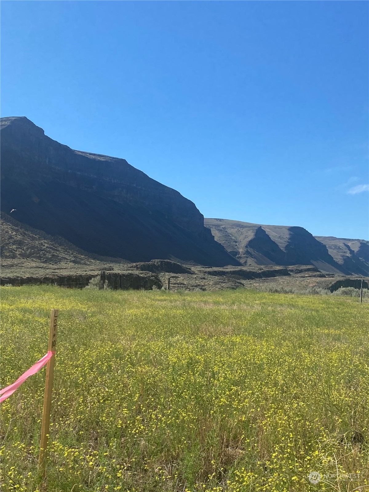 1074 Palisades Rd Lot #6