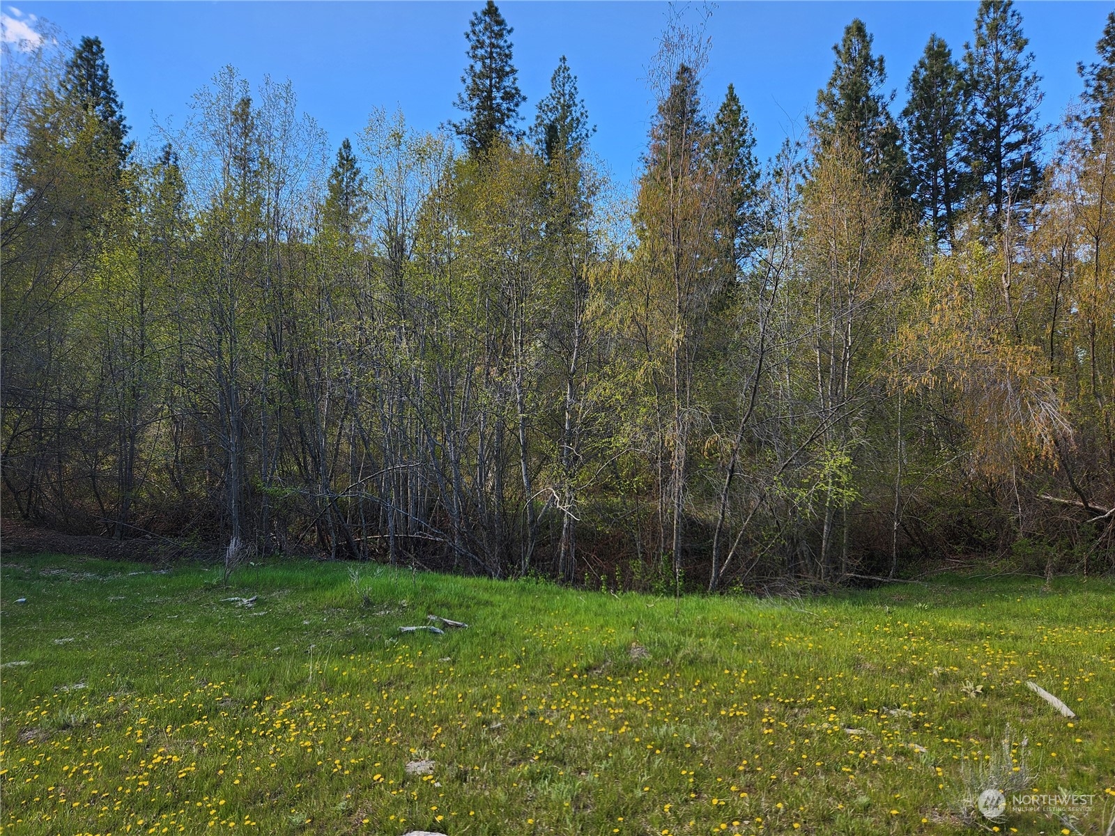 120 Siwash Creek Road