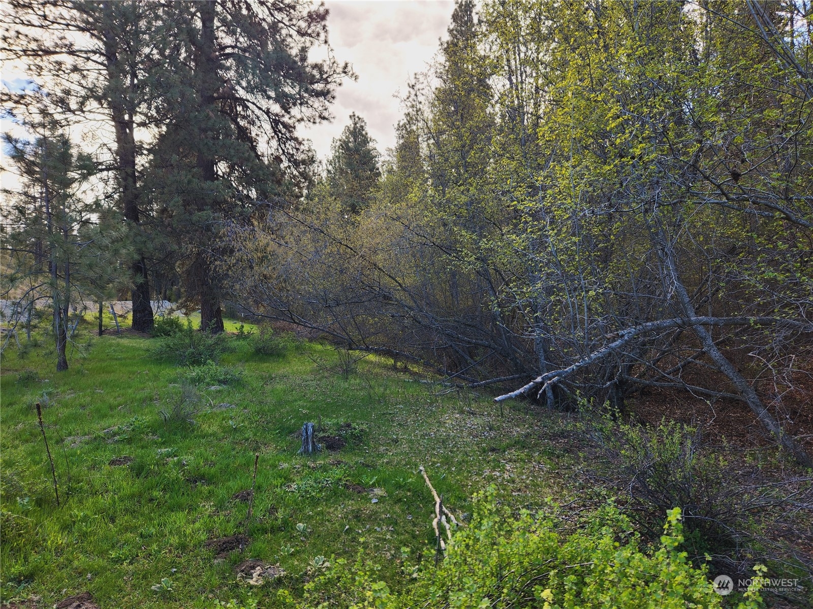 120 Siwash Creek Road